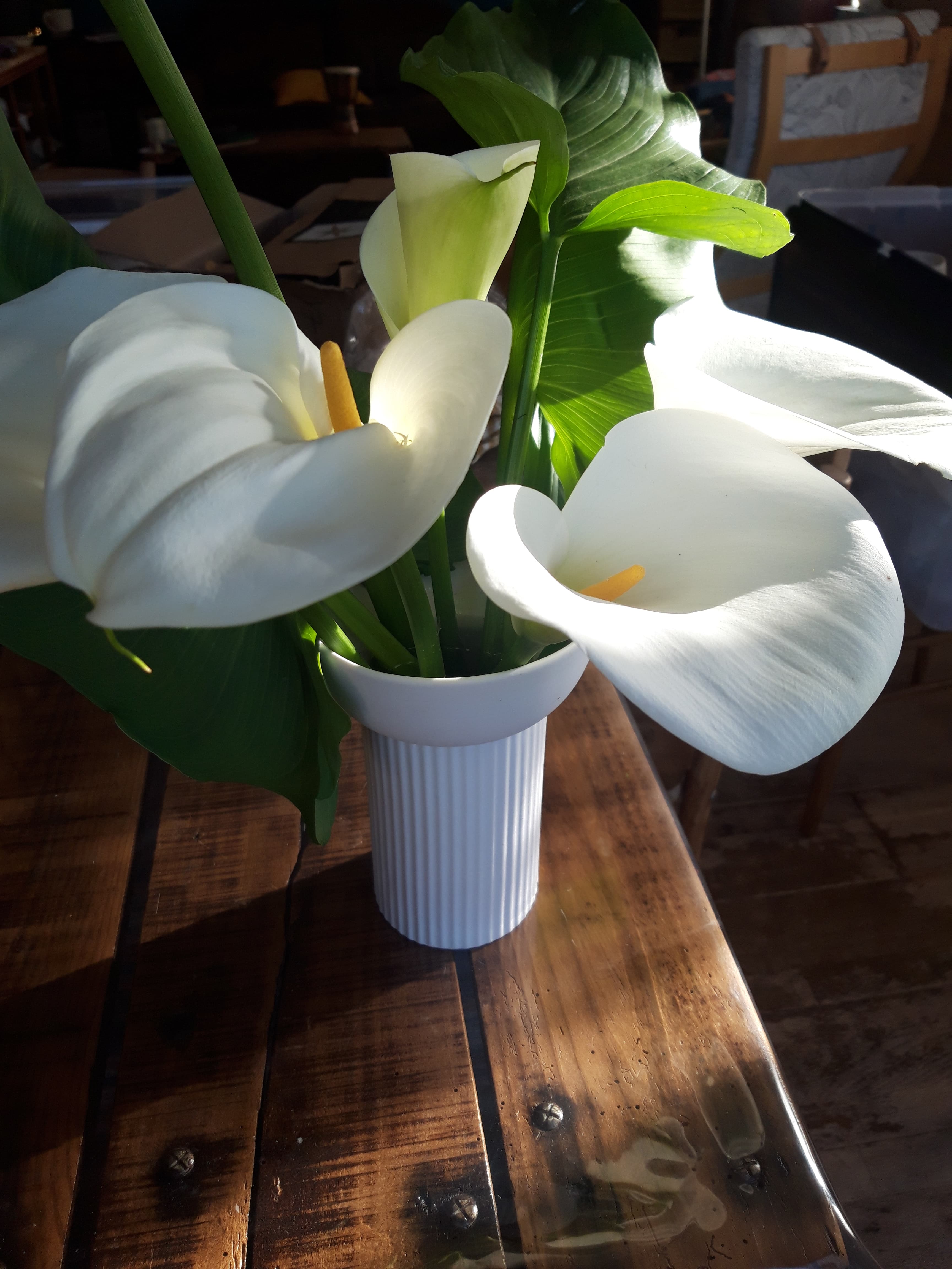 Réalisation Bulle d'éco