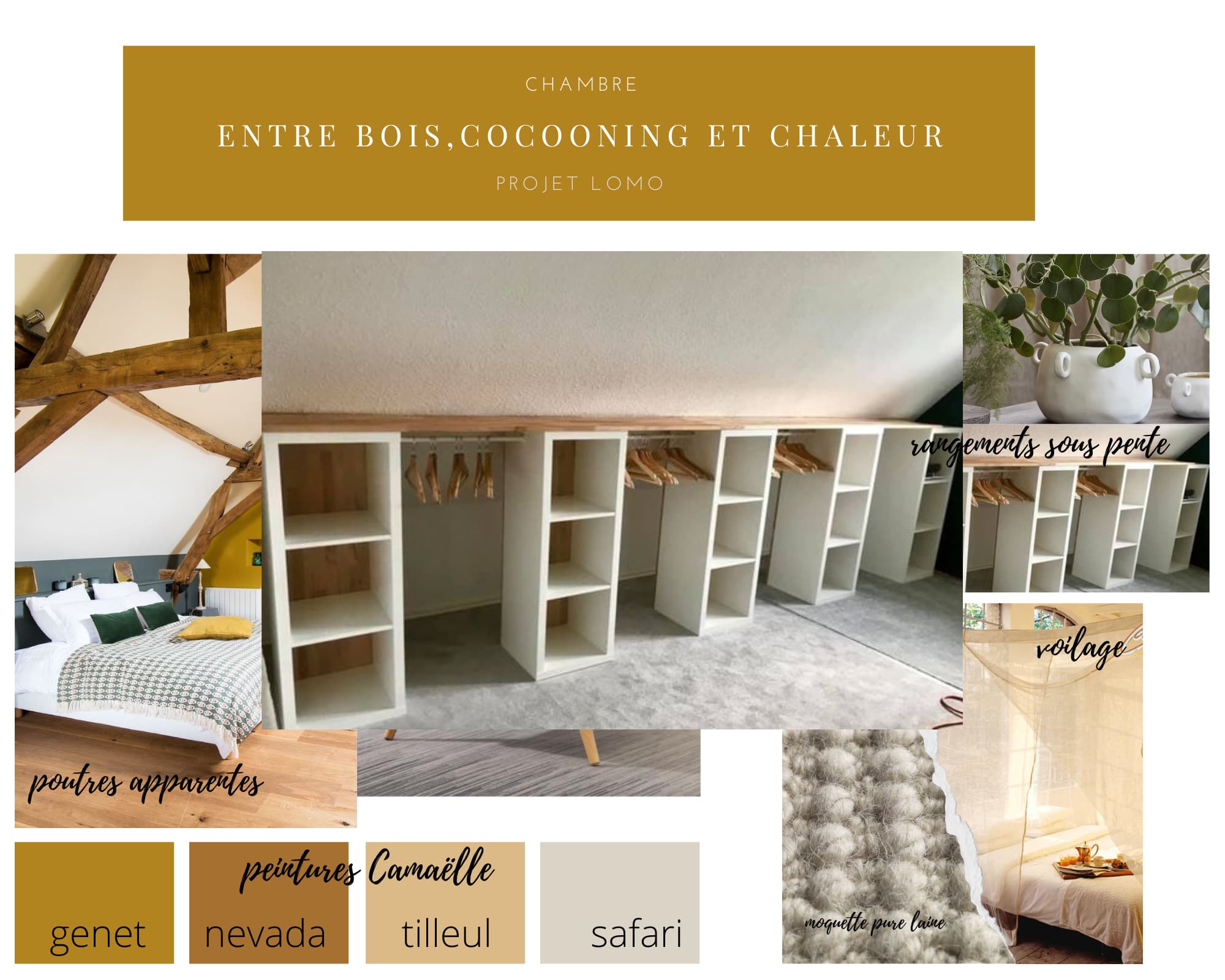 Image Planche Tendance